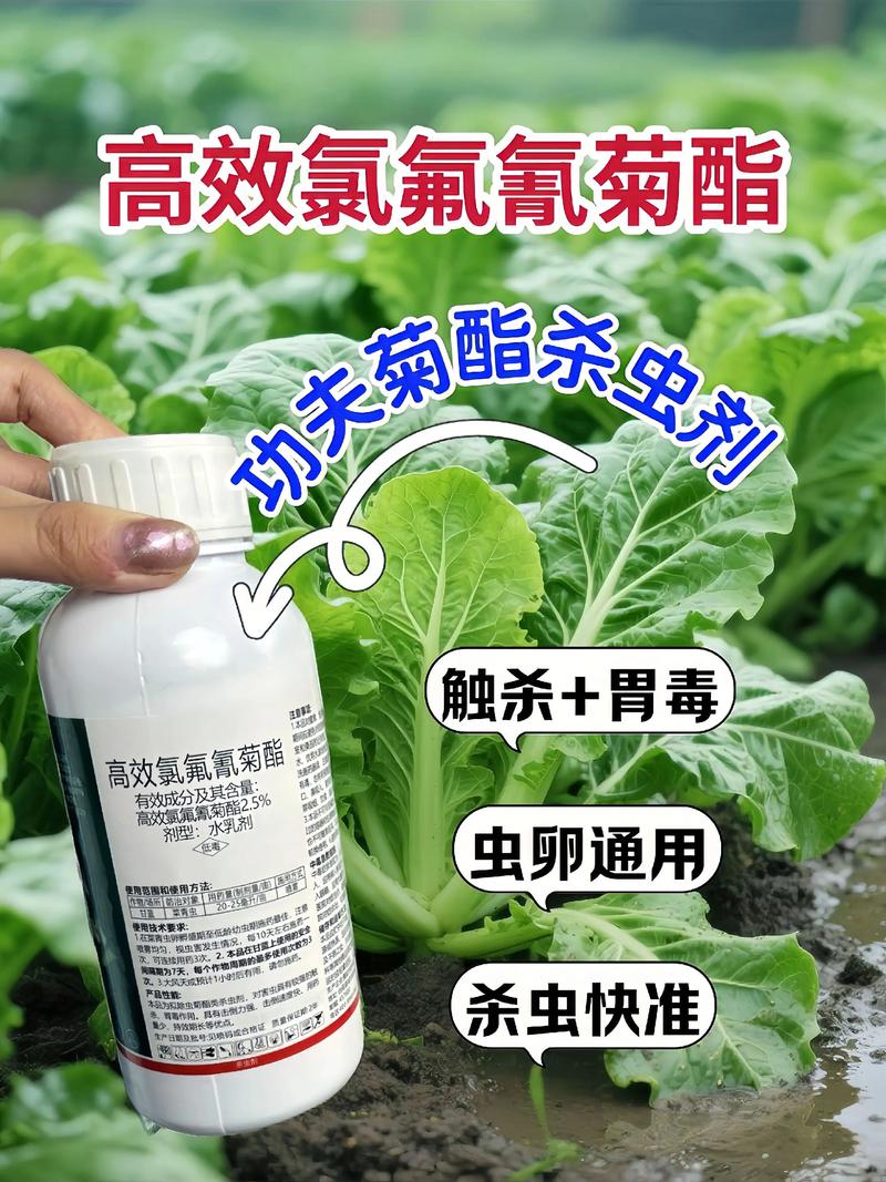 文昌代生中心:农药对供卵代生妈妈的危害